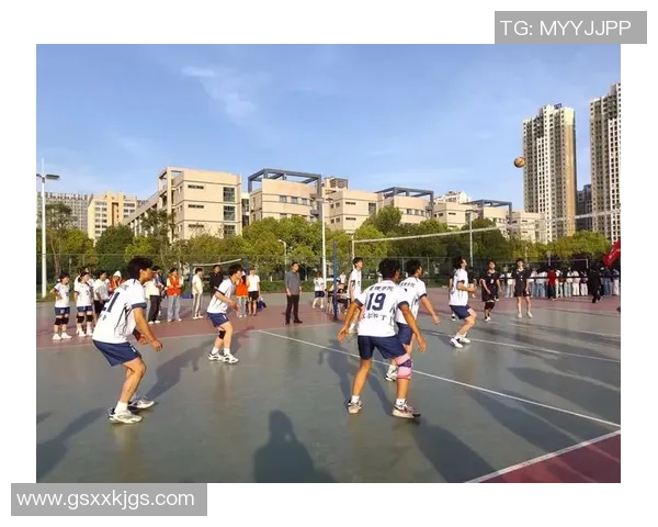 北京排球队的训练与比赛状态全景揭秘助力排球巨献的背后故事