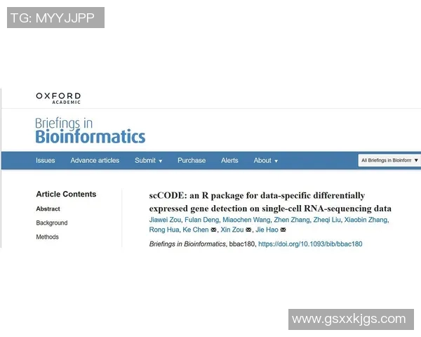 南京排球队团队协作表现的数据分析与提升策略探讨