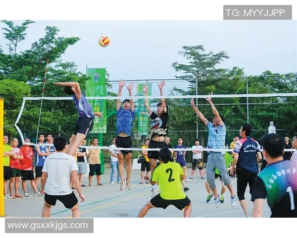 南京排球队的训练与比赛状态全景揭秘助力排球巨献的背后故事