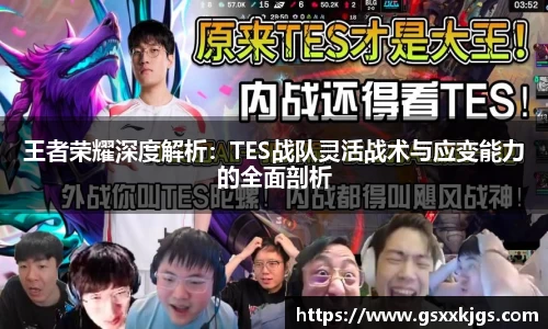 王者荣耀深度解析：TES战队灵活战术与应变能力的全面剖析