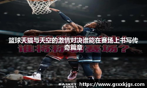 篮球天猫与天空的激情对决谁能在赛场上书写传奇篇章