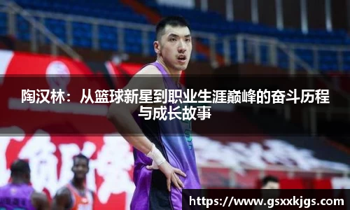 陶汉林：从篮球新星到职业生涯巅峰的奋斗历程与成长故事